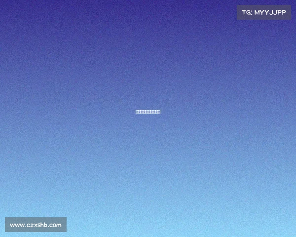 德国足球各项赛事时间